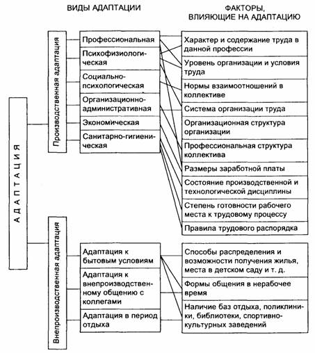 Реферат: Адаптация персонала 