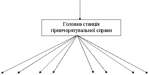 Курсовая: Вдосконалення управління організацією в умовах переходу до ринку 