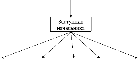 Курсовая: Вдосконалення управління організацією в умовах переходу до ринку 