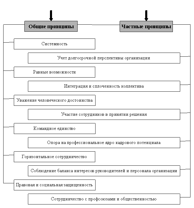 Диплом: Антикризисное управление персоналом организации 